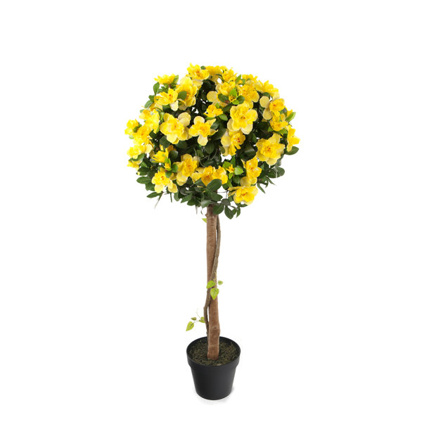 House of Hampton® Faux Flowering Tree in Pot Wayfair Canada